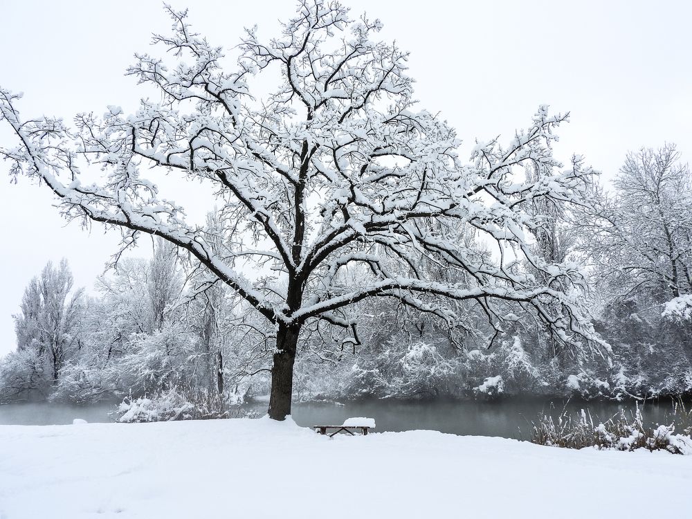 Photograph by Надежда Алешечкина