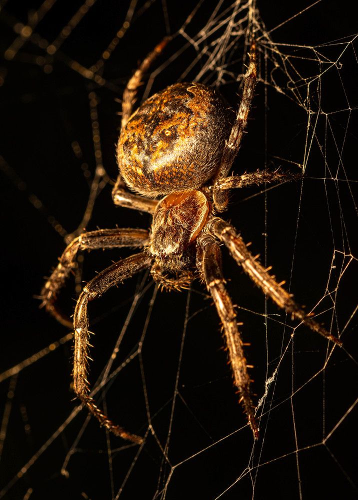 Photograph by  Mykhailo