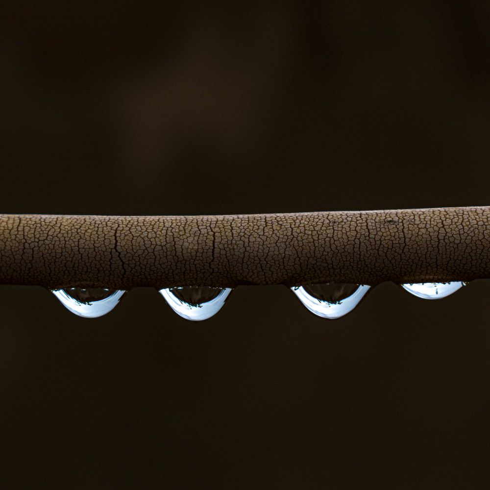 Photograph by Vincent SAWADOGO