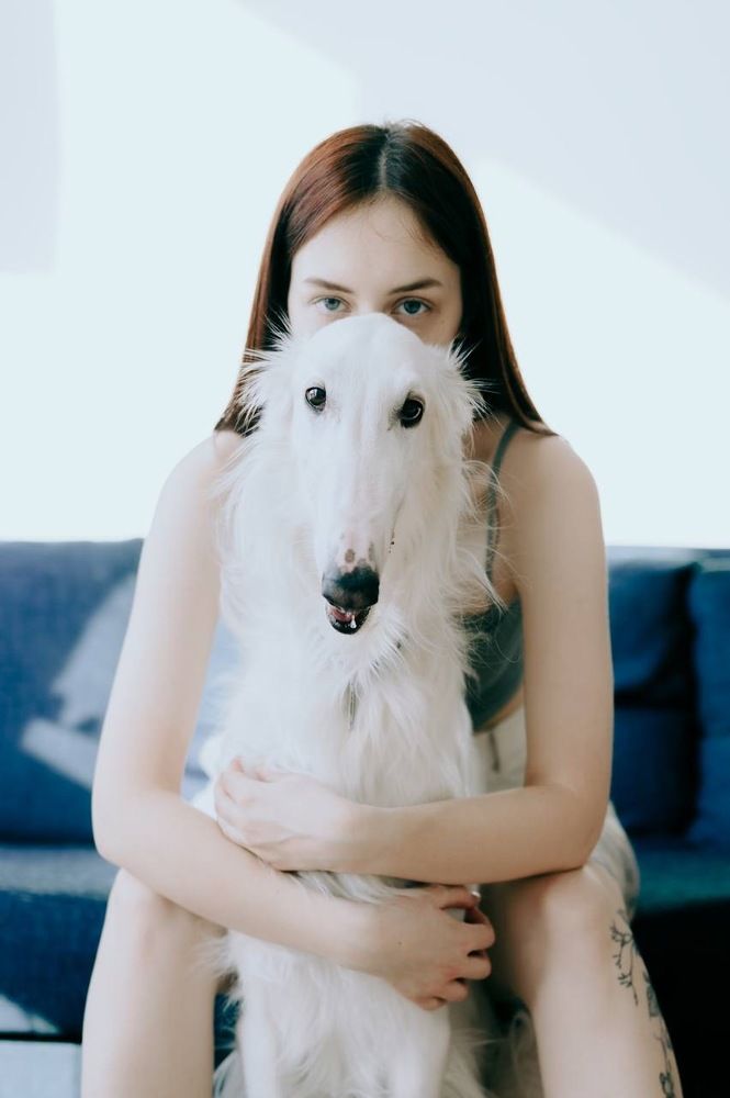 Русская борзая