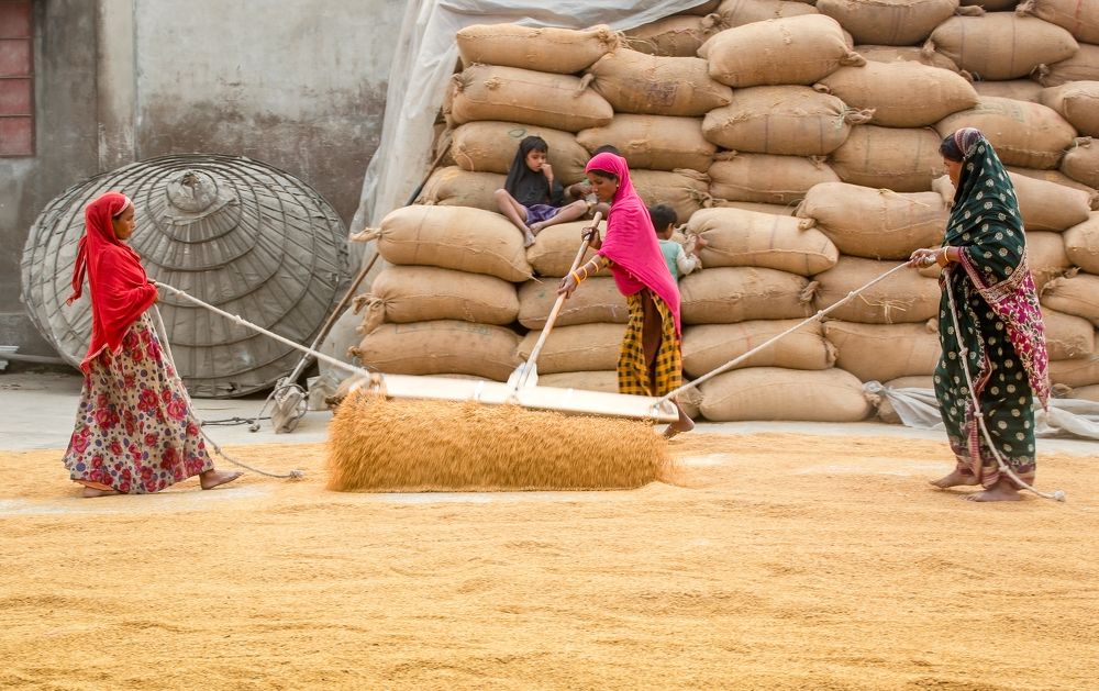 Photograph by Md Matiur Rahman