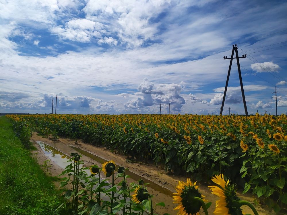 Photograph by Olga Kot