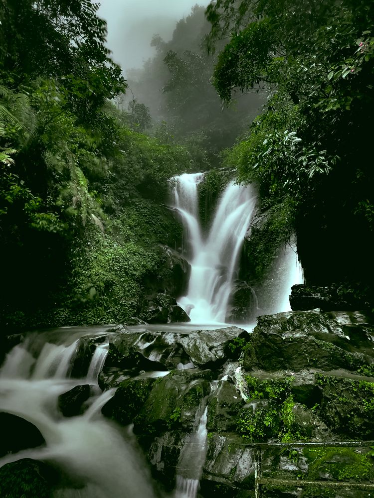 Photograph by Md Shadab Alam