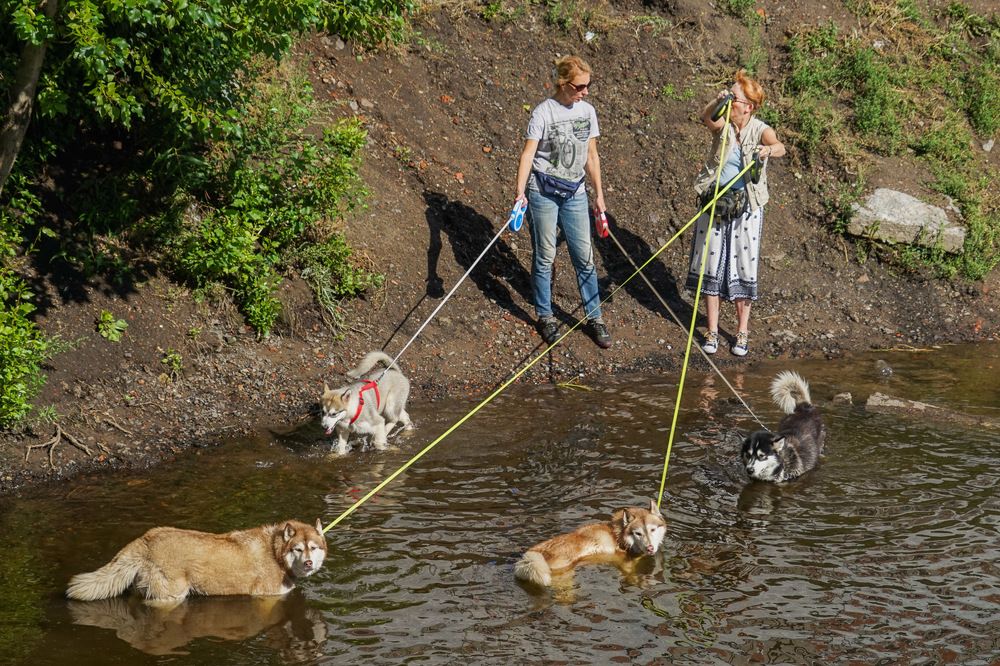 Photograph by Галина Бехметьева