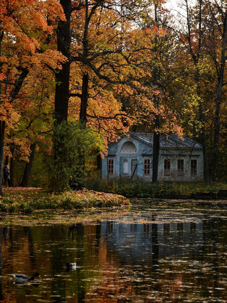 Photograph by Юлия Минькова