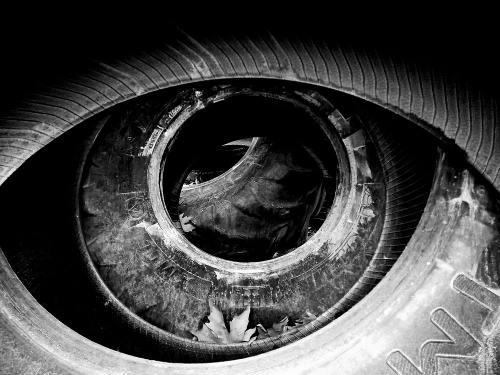 Photograph by jonjon347657