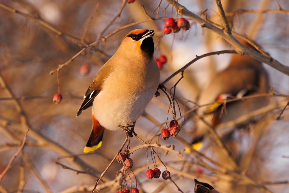 Photograph by Egor Rokita