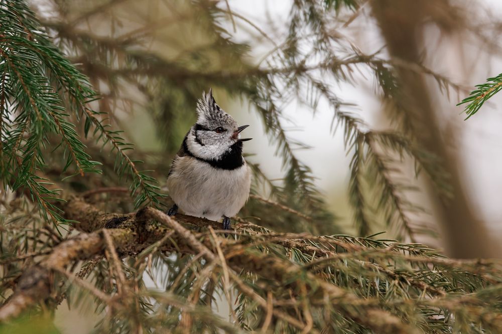 Photograph by Egor Rokita