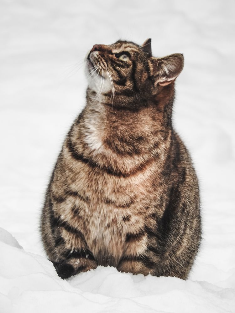 Photograph by Надежда Алешечкина