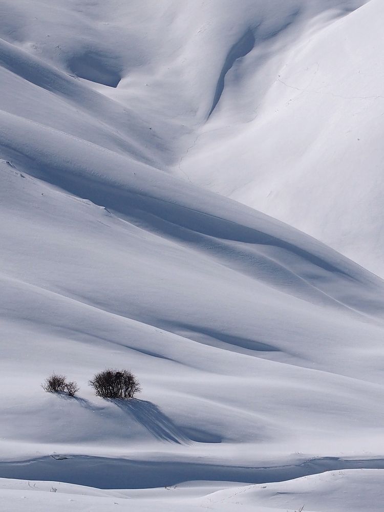 Photograph by Farid Ataei