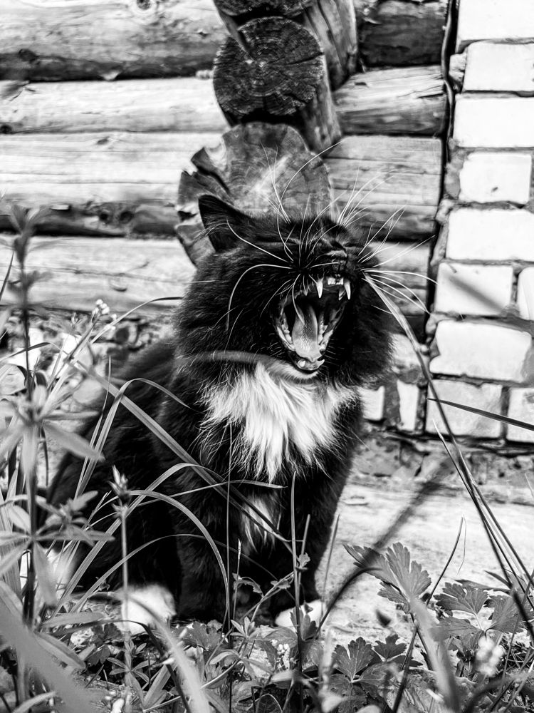 Photograph by Olga Filatova