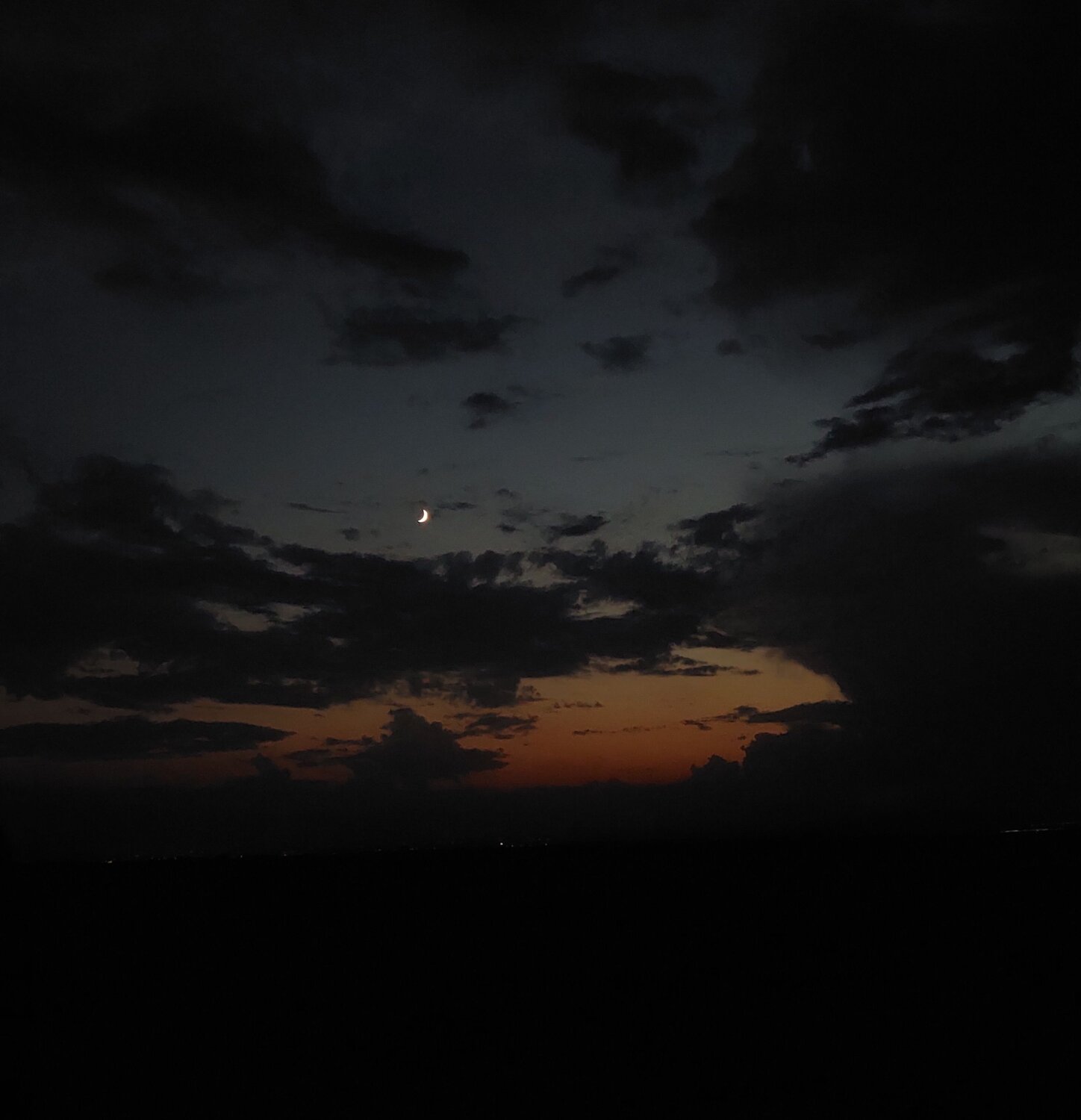 Photo #8919585