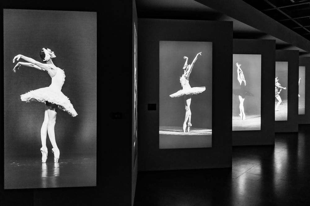 Photograph by Соя Игорь