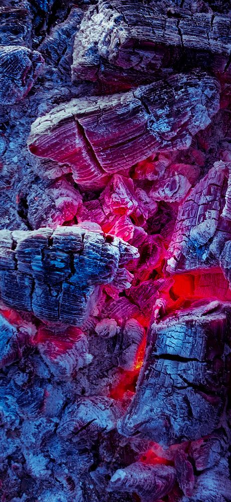 Фотография автора Mahdi Mohammadi