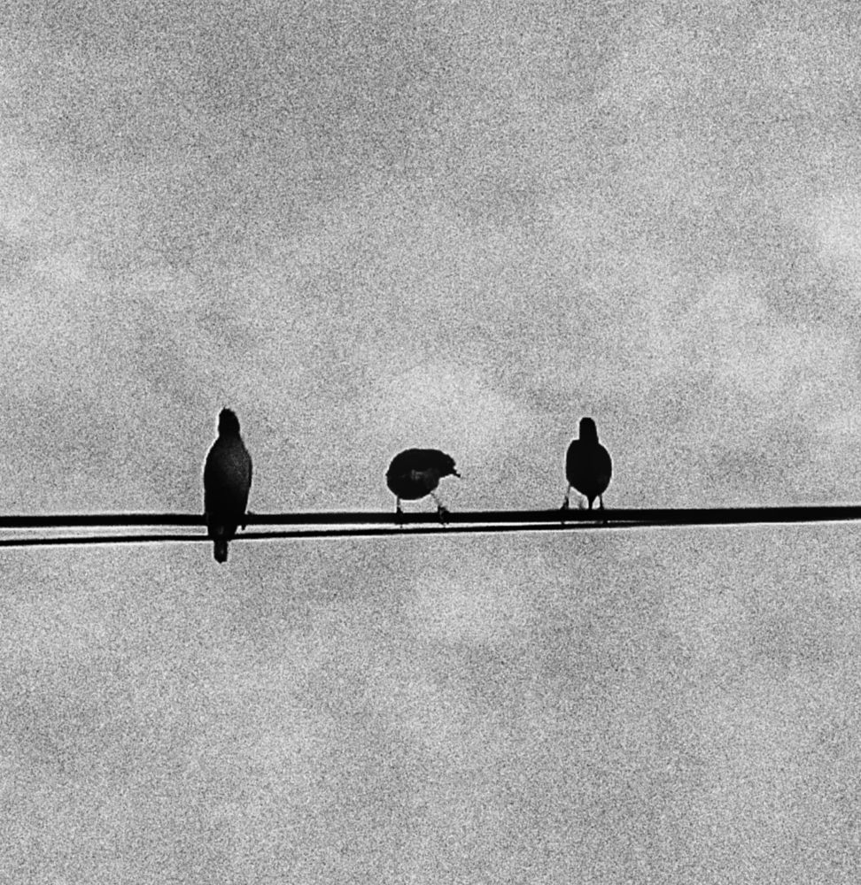 Photograph by Bayzid