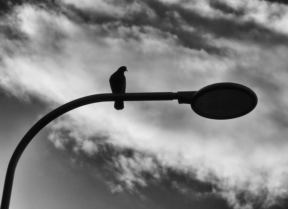 Photograph by Фёдор Куракин