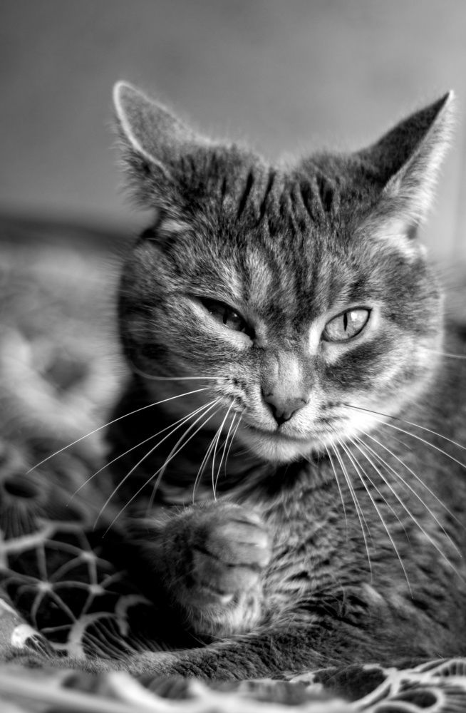 Photograph by Frolova Nataliya