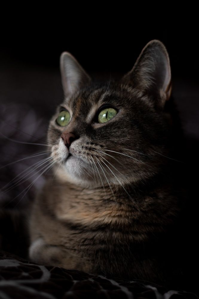 Photograph by Frolova Nataliya