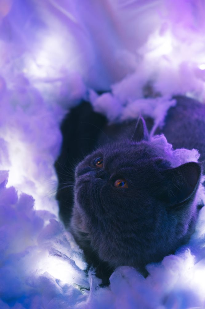 Фотография автора Жанна Белоусова