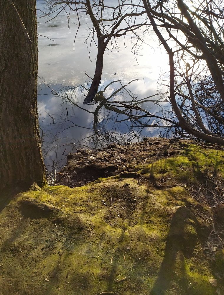 Photograph by Ирина