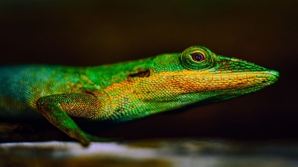 Photograph by Alberto Debs Rosales