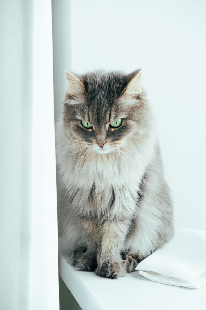 Фотография автора Жанна Белоусова