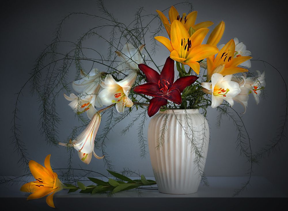 Photograph by Ольга Заболотская