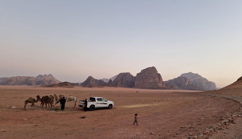 Photograph by Елена Бородич