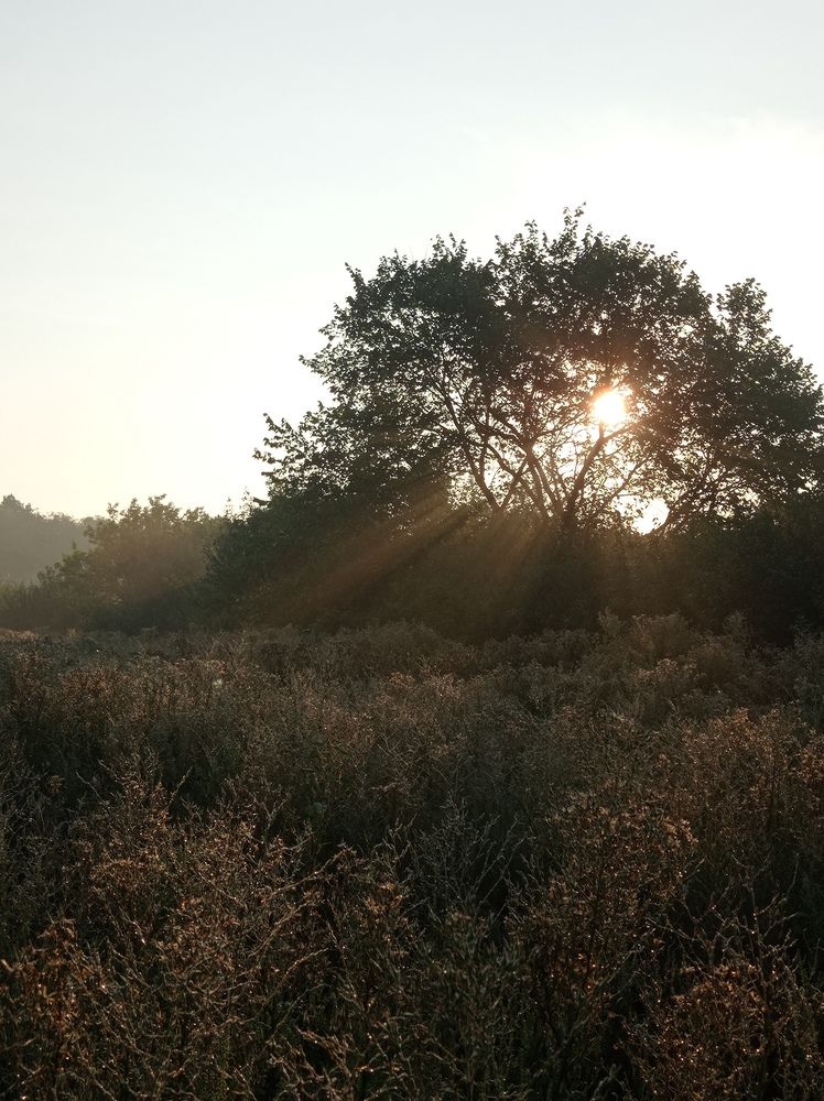 Photograph by Яна Левченко