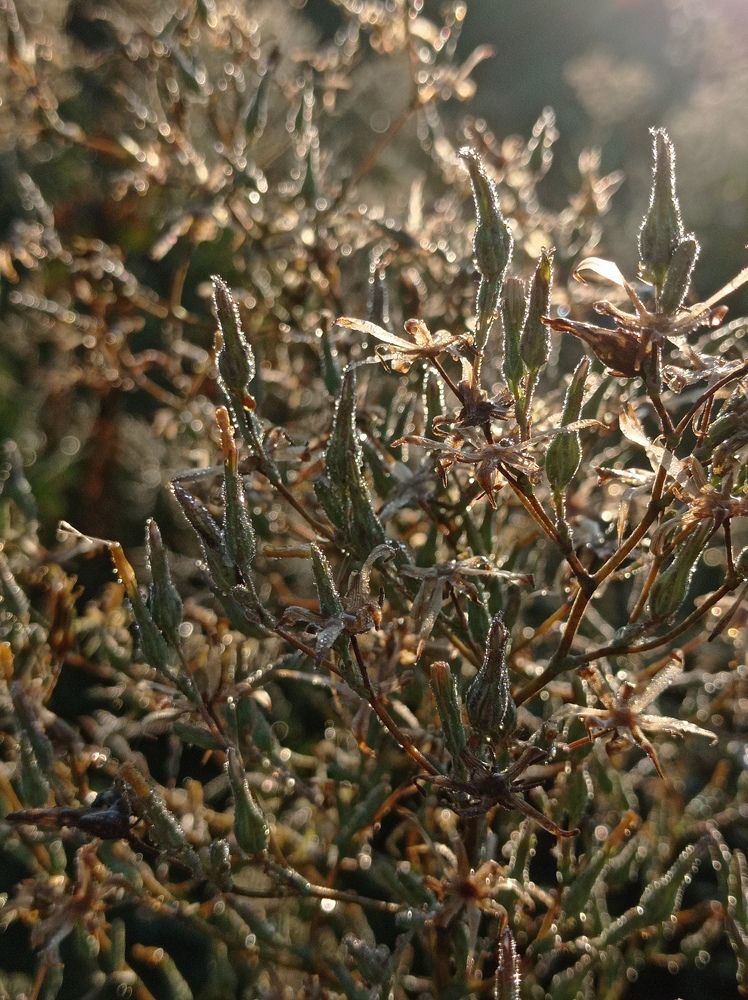 Photograph by Яна Левченко