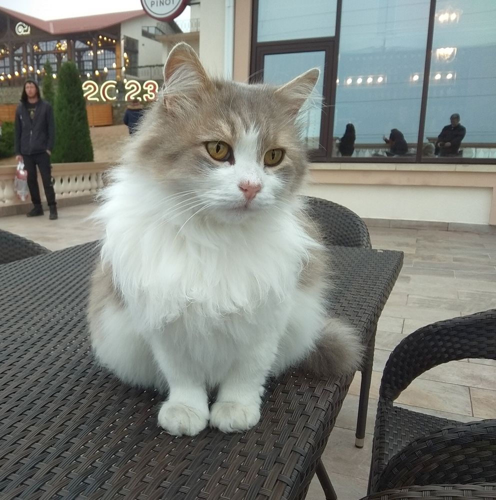 Photograph by Сергей Христинич