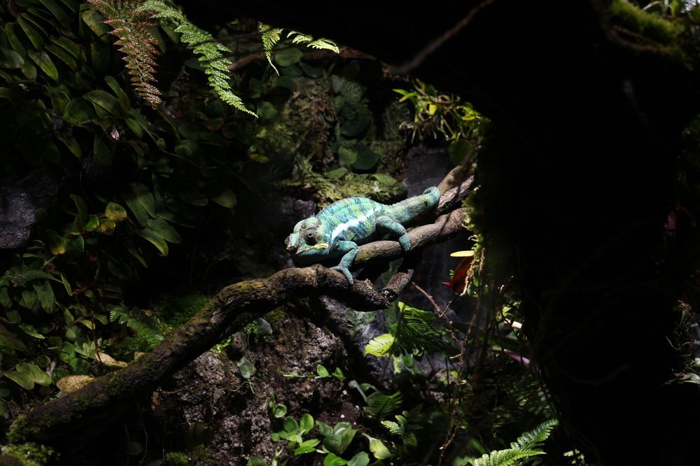 Photograph by Галина