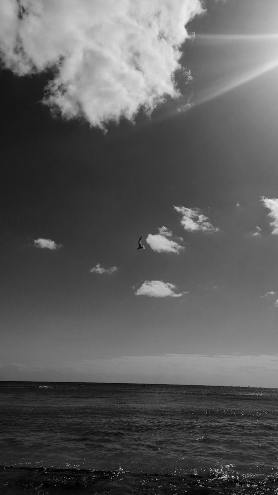 Photograph by lizeth juarez
