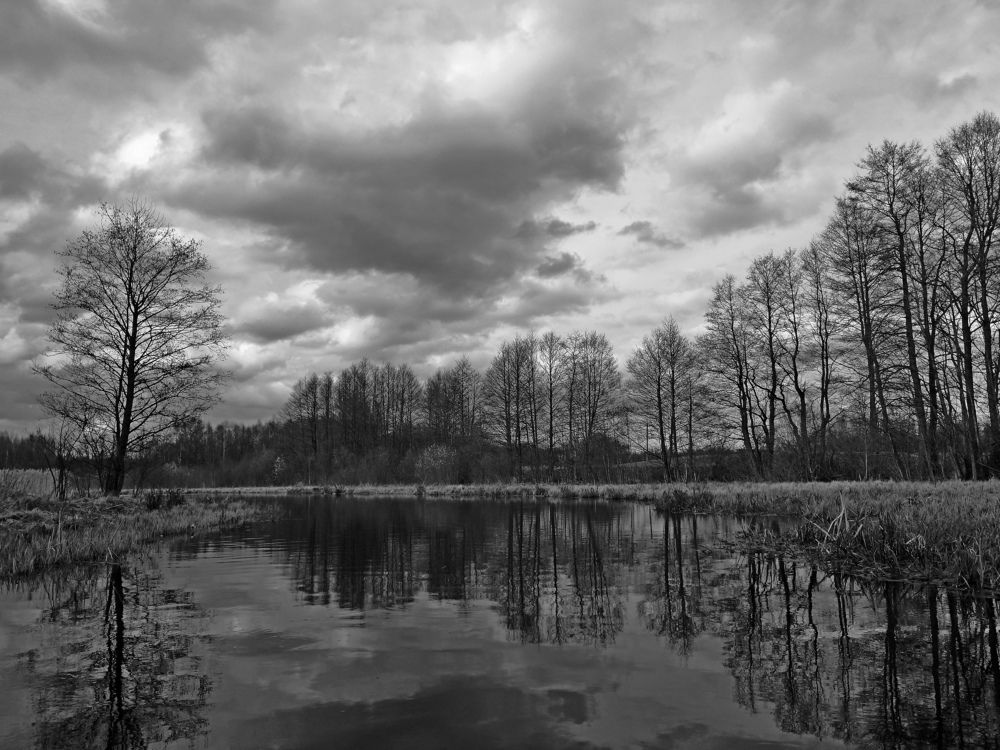 Photo #8920059