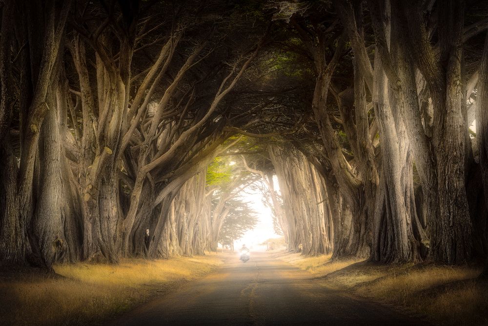 Фотография автора Kozlov Sergey