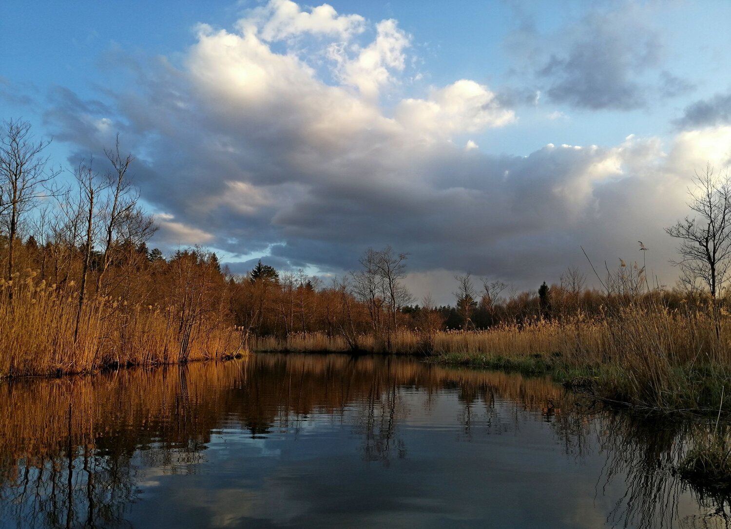 Photo #8920140