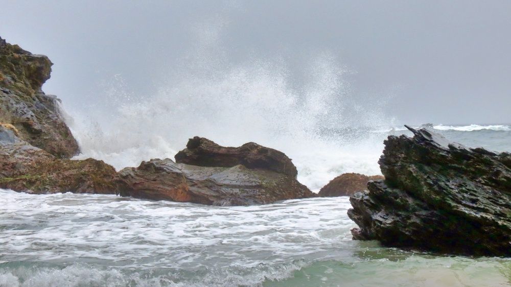 Photograph by Hilary McShine