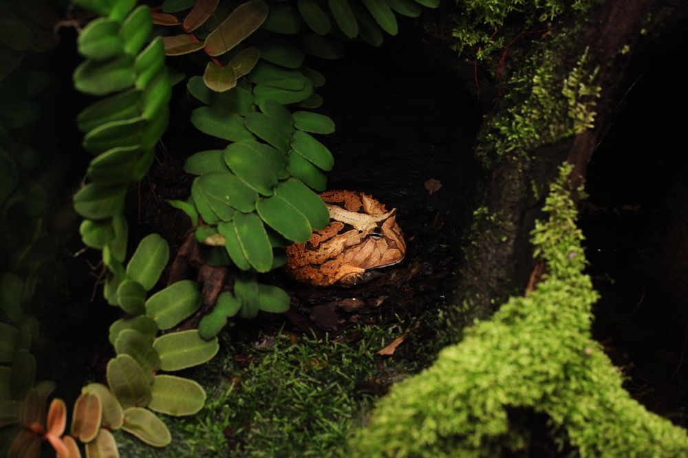 Photograph by Галина