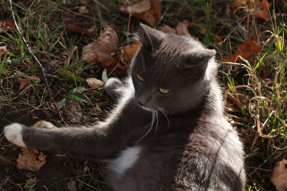 Photograph by Оксана Макрушина