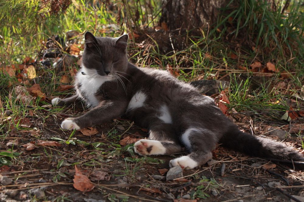 Photograph by Оксана Макрушина