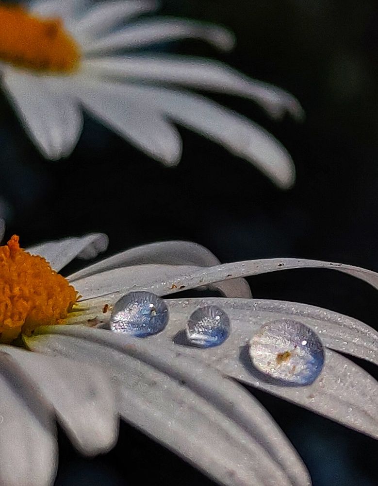 Photograph by Наталья Болотенков