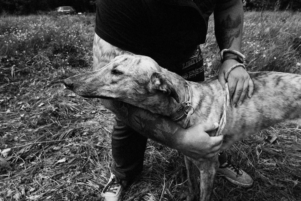 Photograph by Loptev Andrey