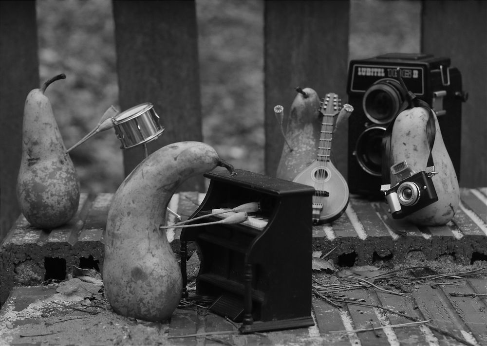 Photograph by Татьяна Исаева