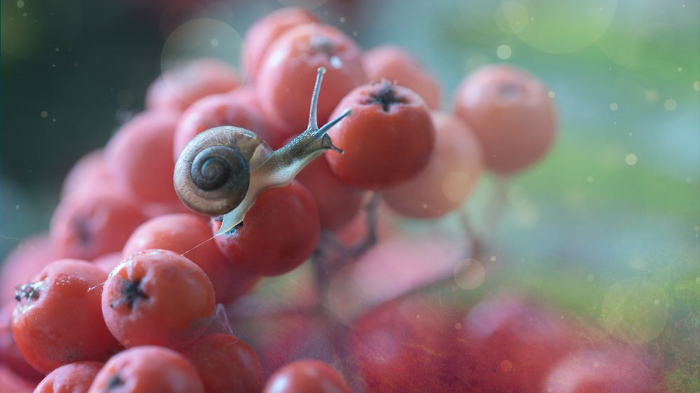 Фотография автора Мария Обидина