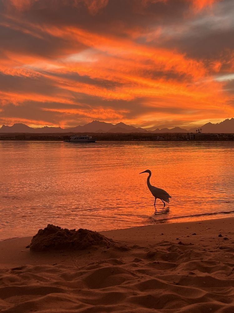 Photograph by Ингрида Кузнецова