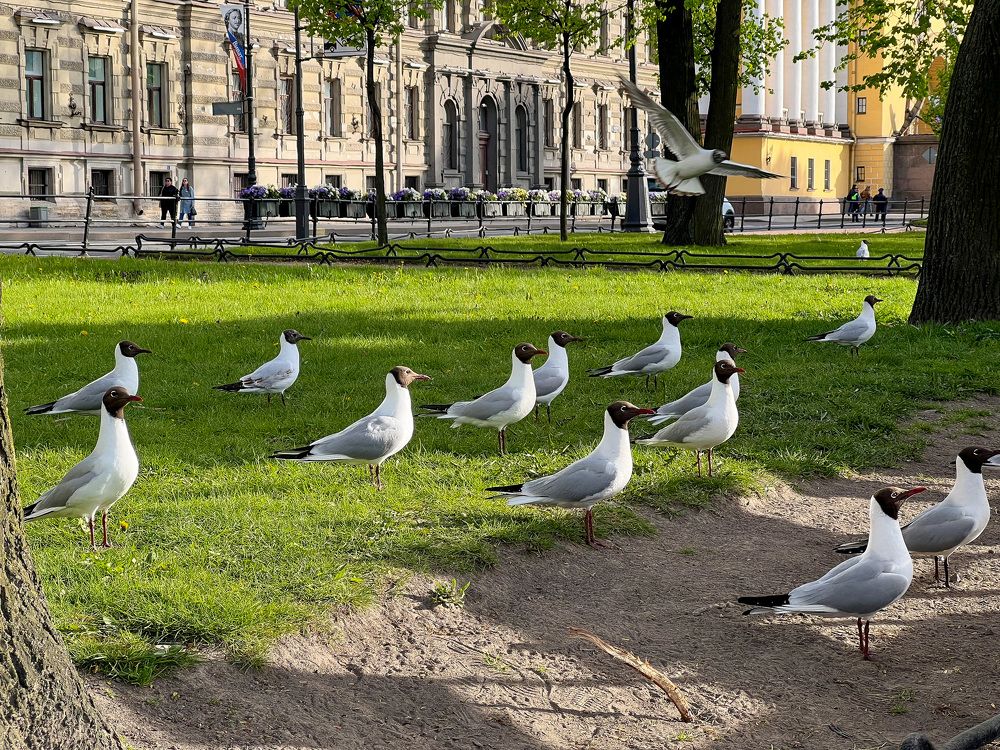 Photograph by Елена Сиушова