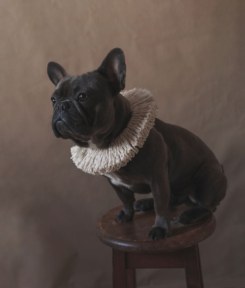 Photograph by Ксения Трошина(Лившиц)