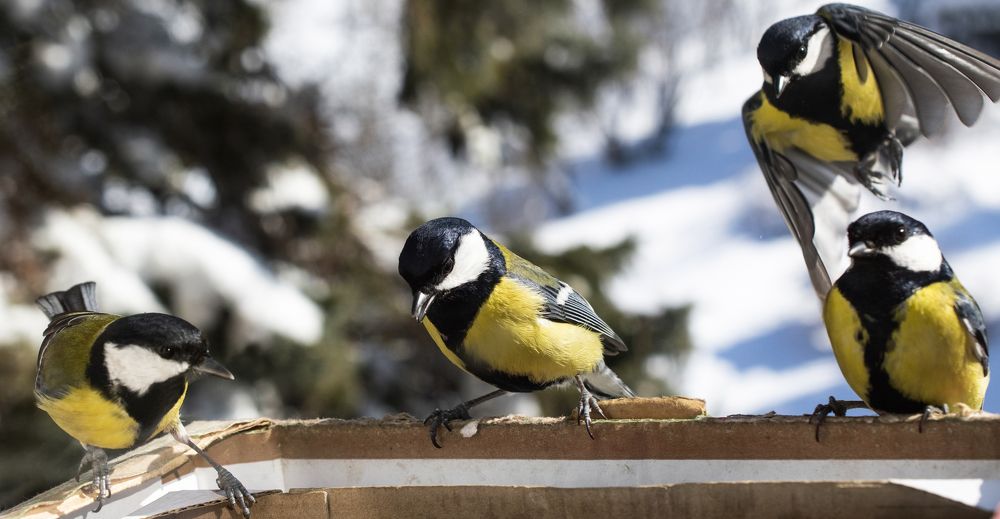 Photograph by Elena Lopatina