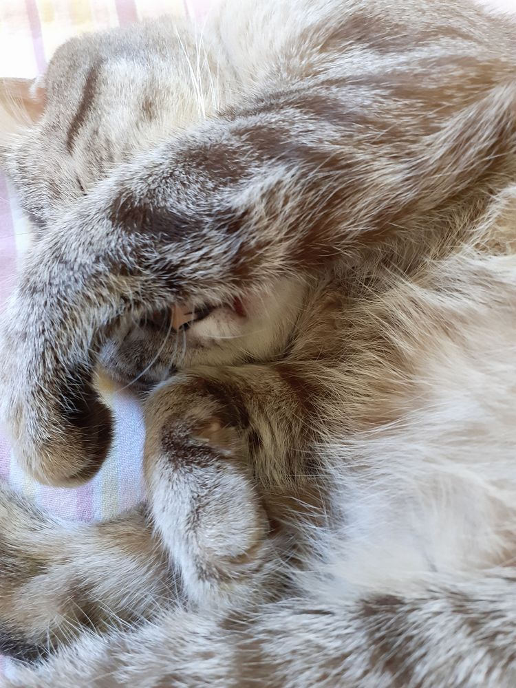 Photograph by Flávio Cavalcante