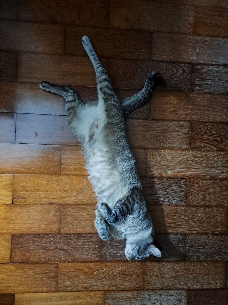 Photograph by Flávio Cavalcante